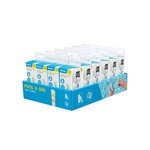 50 Pasków Testowych do wody basenowej BESTWAY pH + Chlor + Zasadowość