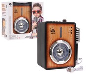 Wzmacniacz z Funkcją Bluetooth + Mikrofon