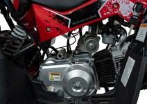Pojazd Quad Spalinowy RENEGADE HIPERFECT 110CC Czerwony